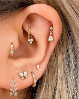 1PC Tragus Rook Helix Ear Piercing Earring For Women Butterfly Zircon Ear Cartilage Drop Piercing Moon Ear Hoop Lobe Jewelry