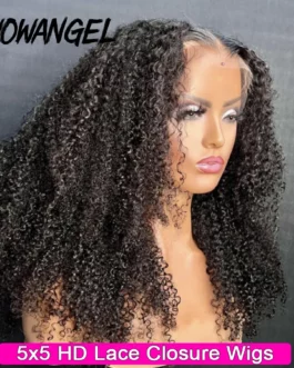 250% Afro Kinky Curly Wig 5X5 HD Lace Closure Wigs Malaysian Hair Invisible Transparent HD Lace Closure Human Hair Wig For Woman